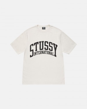 Stussy International Pigment Dyed T Shirts Beige | 58947HOJB