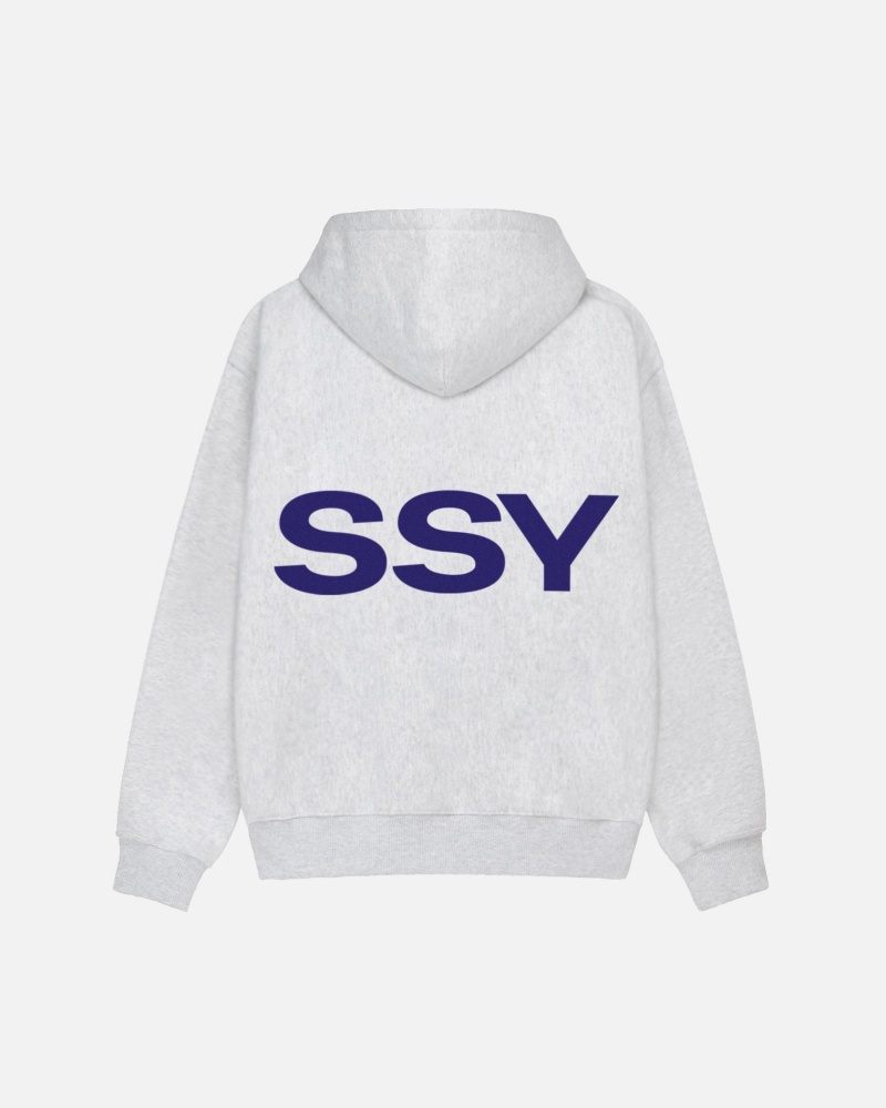 Stussy All Caps Hoodie Grey | 01367XTKE