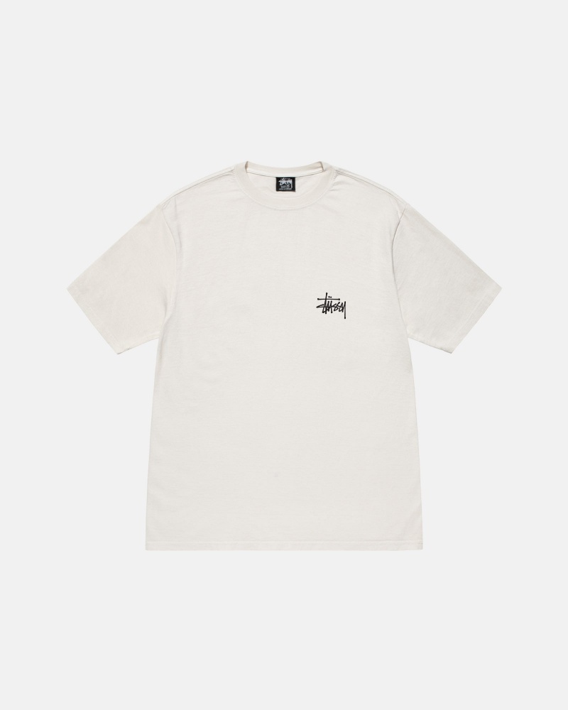 Stussy Basic Pigment Dyed T Shirts Beige | 30891DYBE