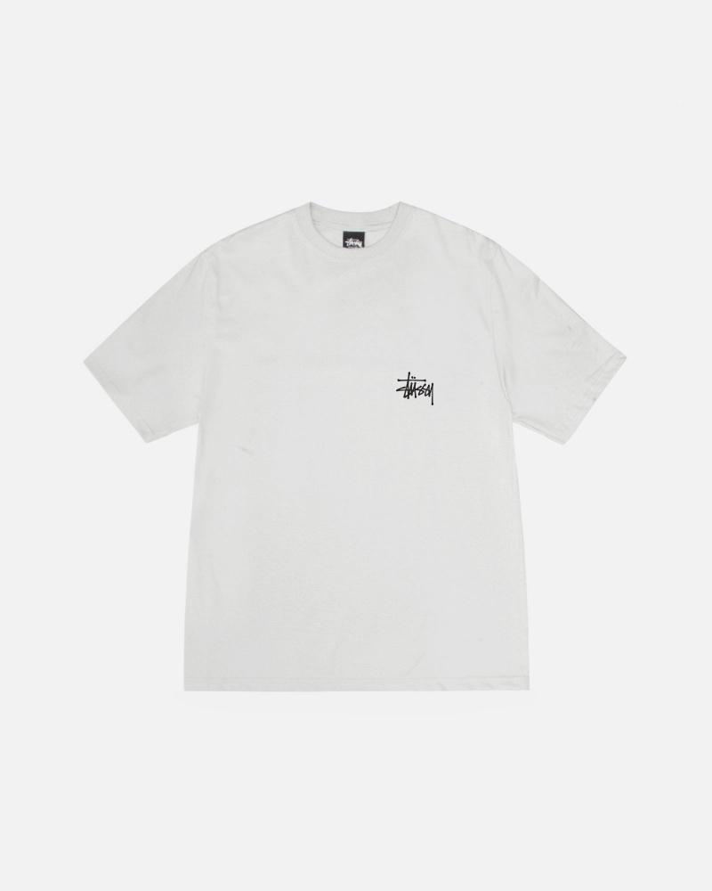 Stussy Basic T Shirts Grey | 61850YAFJ