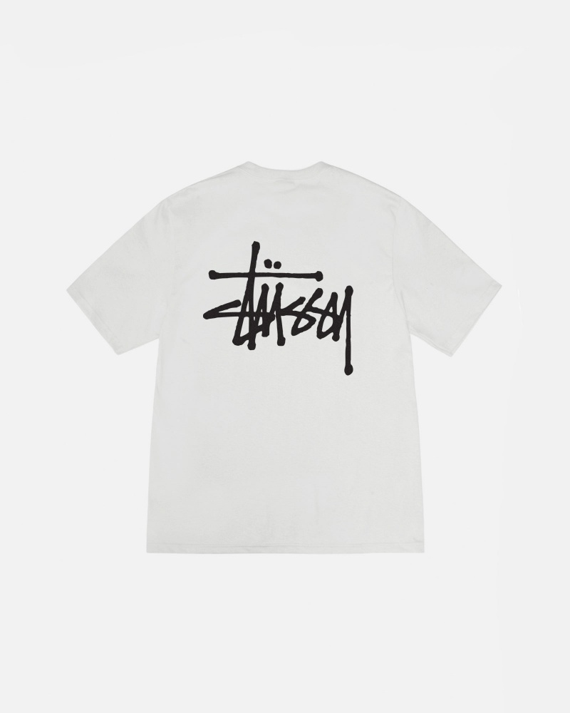 Stussy Basic T Shirts Grey | 61850YAFJ