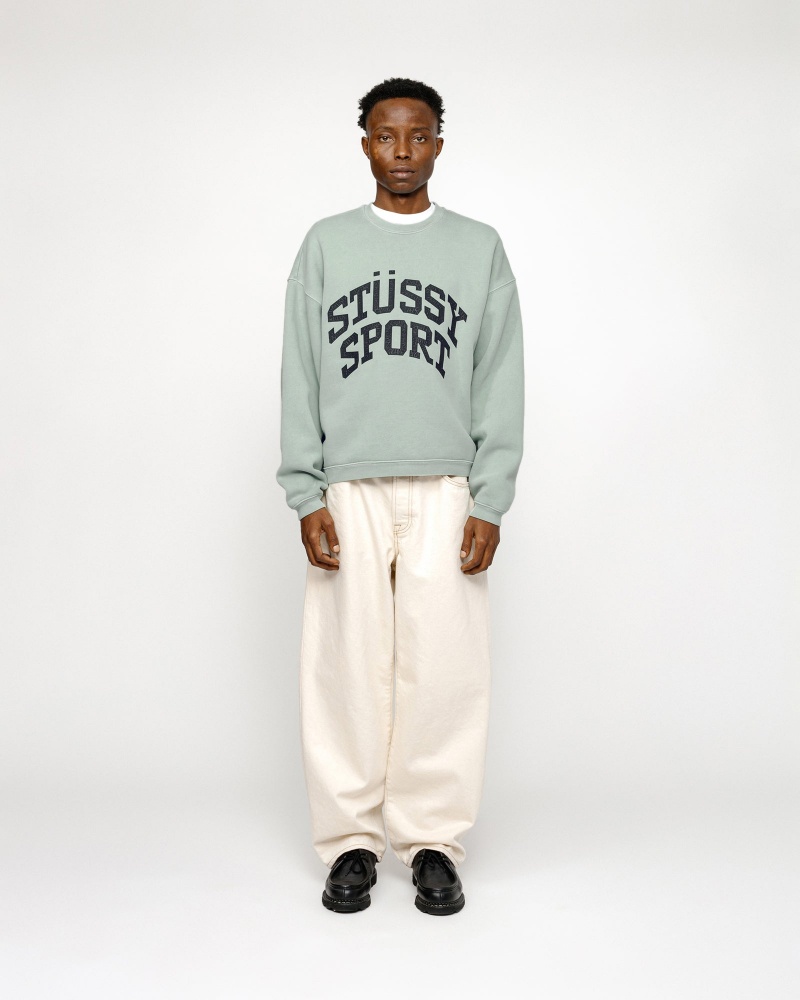 Stussy Big Crackle Sport Crew Sweatshirts Light Blue | 90158BYRS