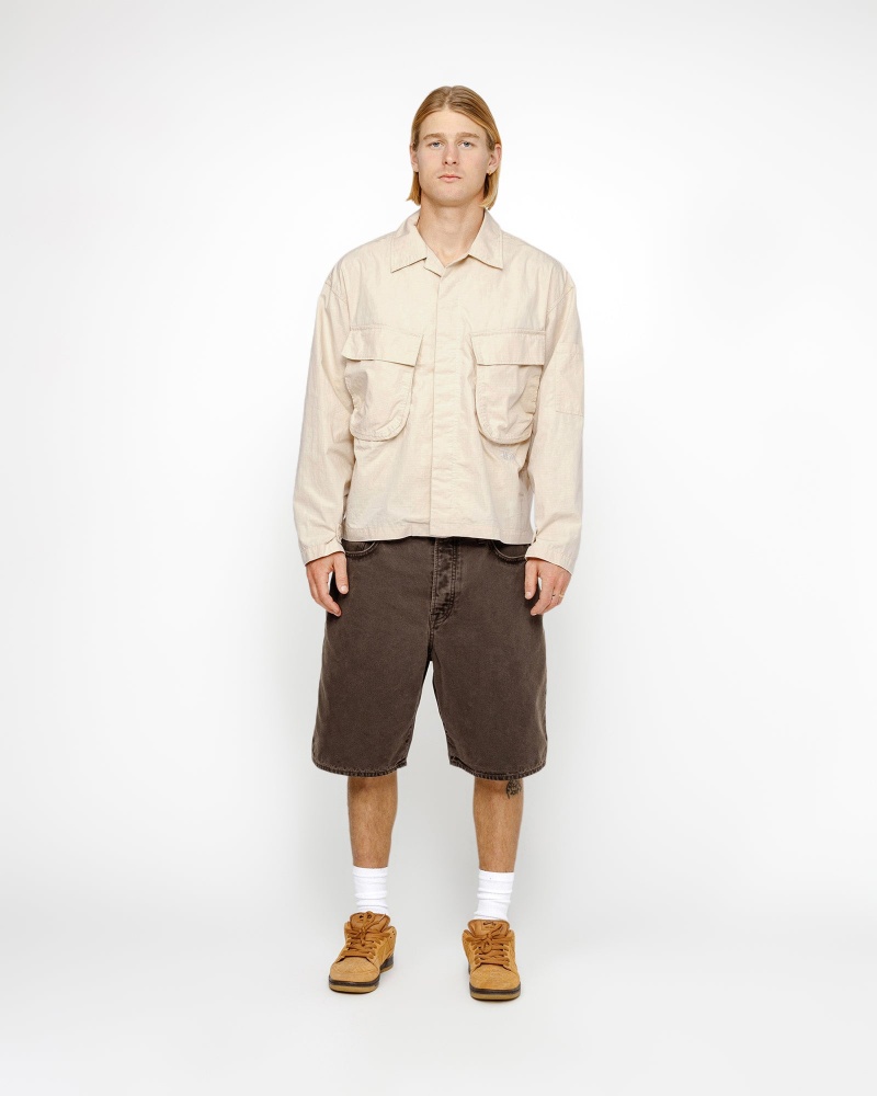 Stussy Big Ol' Washed Canvas Shorts Brown | 59234ZGTN