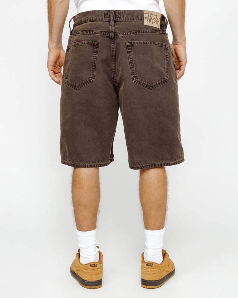 Stussy Big Ol' Washed Canvas Shorts Brown | 59234ZGTN