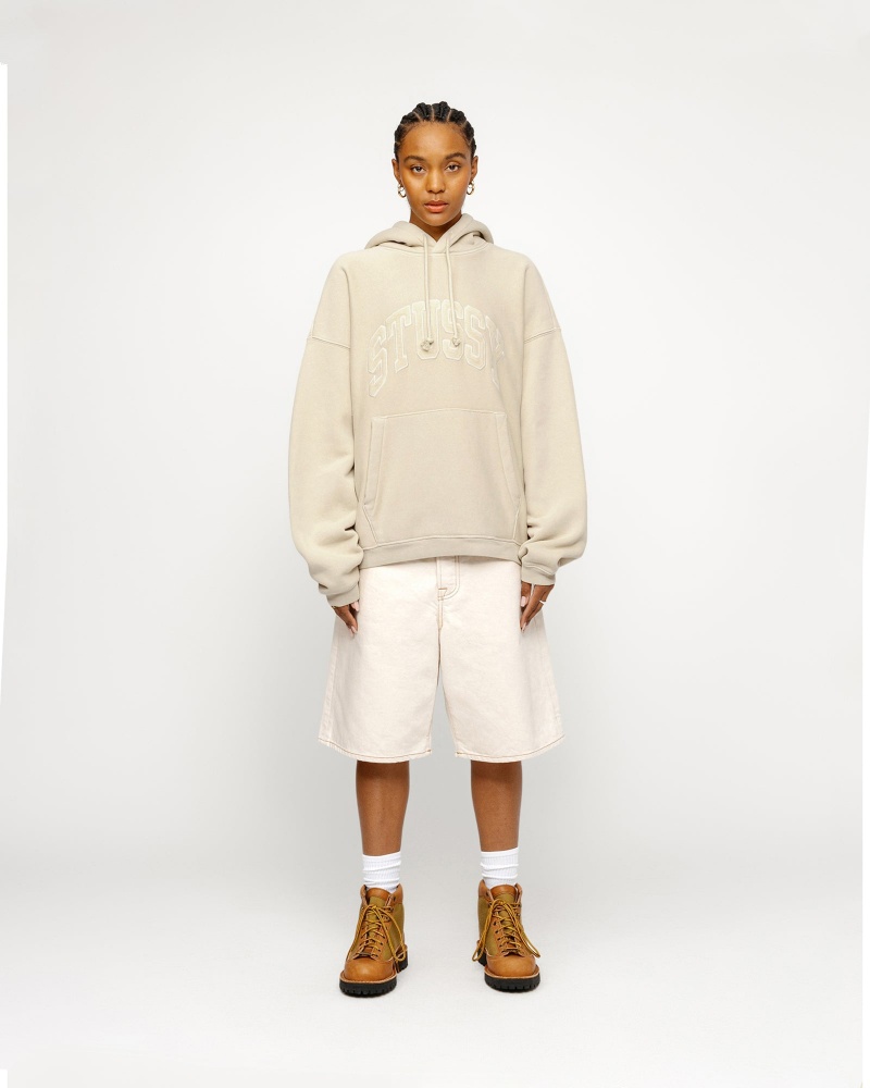 Stussy Embroidered Relaxed Hoodie Brown | 31049NYEH