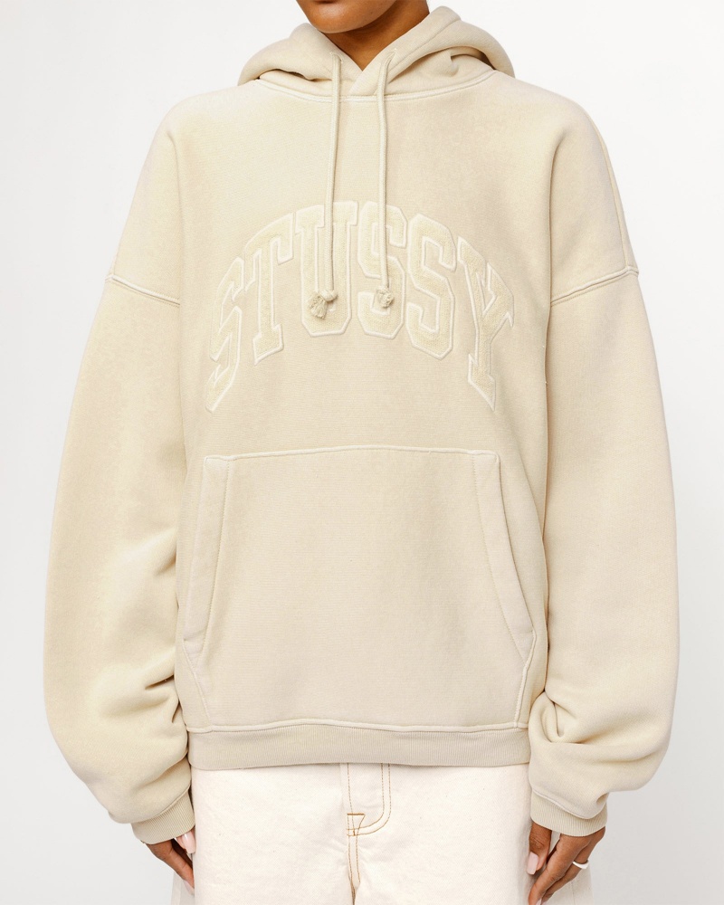 Stussy Embroidered Relaxed Hoodie Brown | 31049NYEH