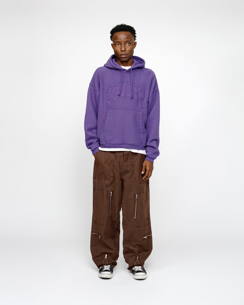 Stussy Embroidered Relaxed Hoodie Purple | 45170VEOM