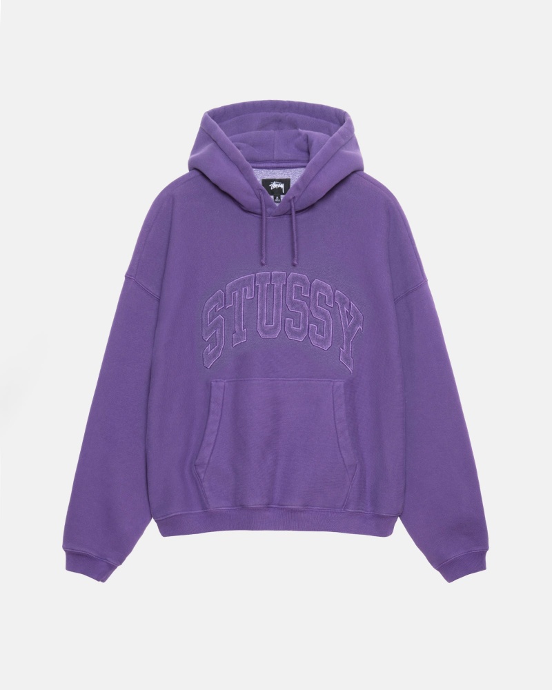 Stussy Embroidered Relaxed Hoodie Purple | 45170VEOM