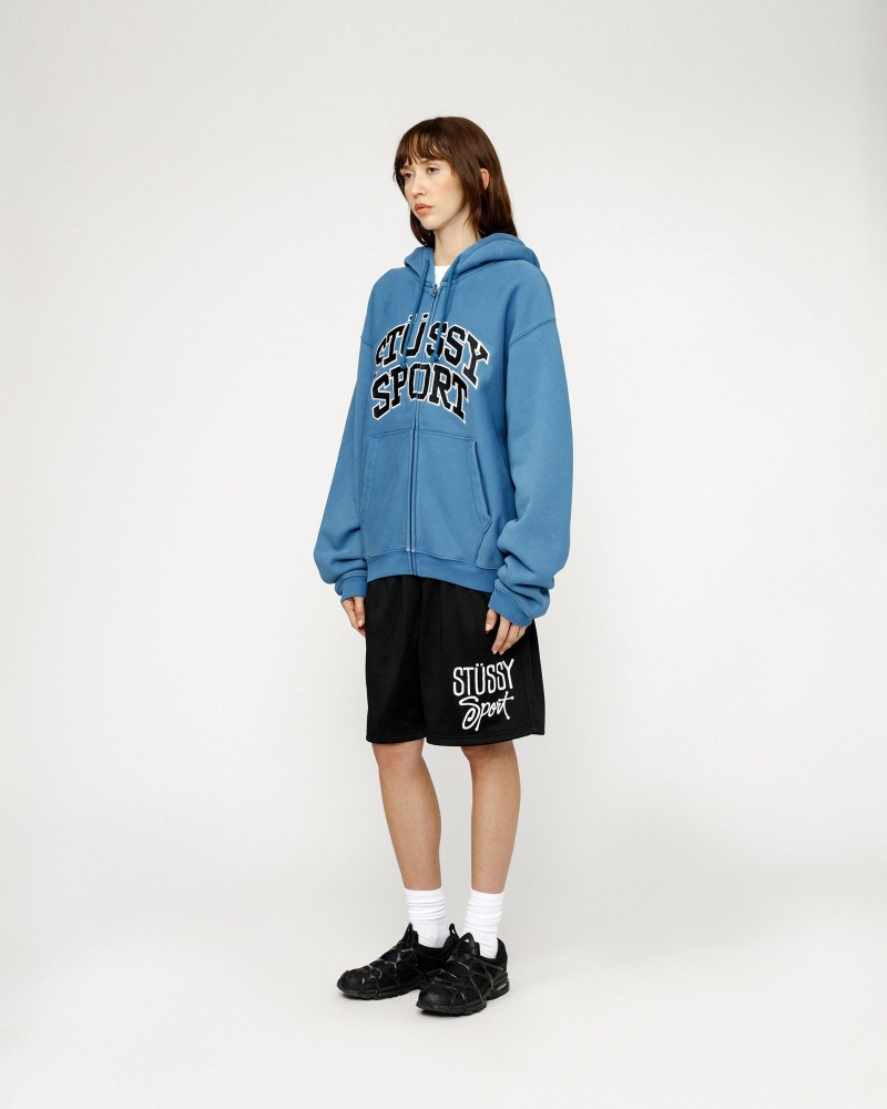 Stussy Sport Zip Hoodie Blue | 89125FIRQ